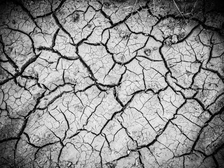 dried dehydrated cracked soil top viewの写真素材
