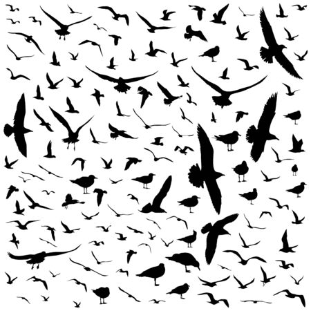 vector silhouettes of birds on a white isolated backgroundのイラスト素材