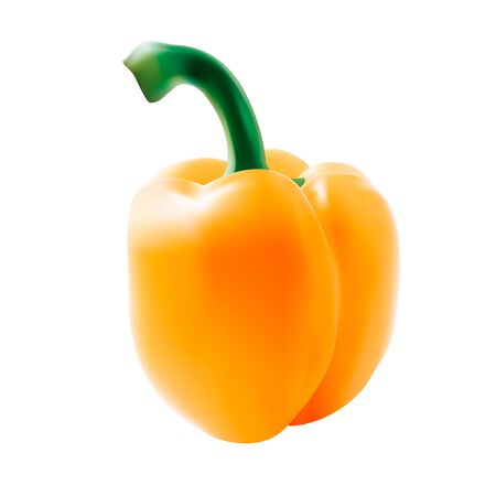 yellow bell pepper on white isolated background. Vector illustration.のイラスト素材