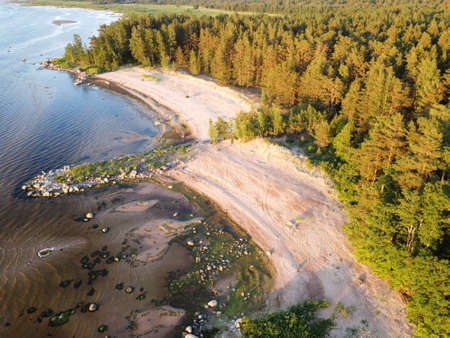 Top-down aerial view of the peninsula in the Leningrad regionの写真素材
