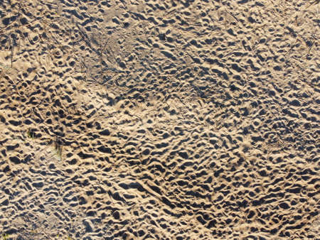 Aerial view of field stubble from droneの写真素材
