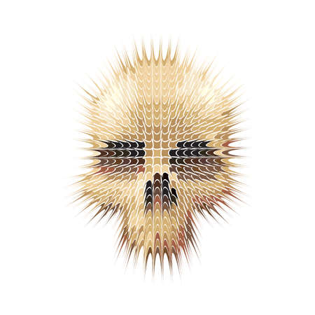 studded skull vectorのイラスト素材