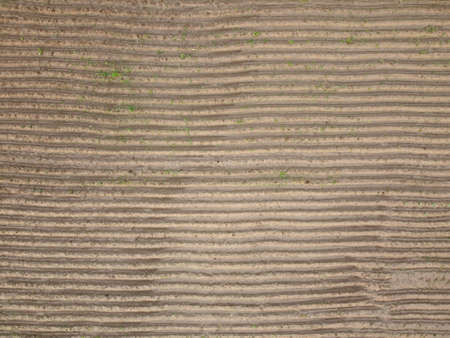 Aerial view of field stubble from droneの写真素材