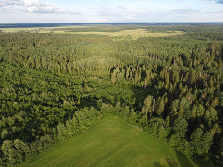 view of the green forest from above, aerial photographyの写真素材