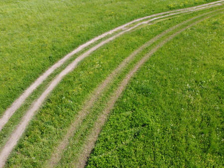 Summer field with tracks of car on grass.の写真素材