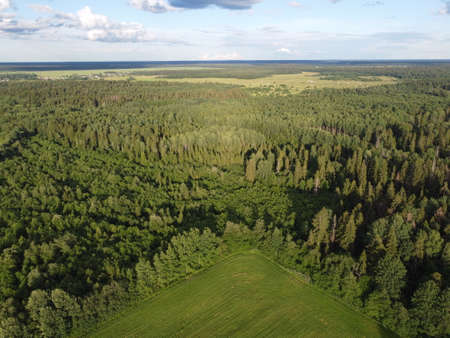 view of the green forest from above, aerial photographyの写真素材