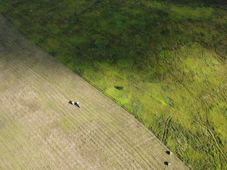rolls of hay on the field aerial photoの写真素材