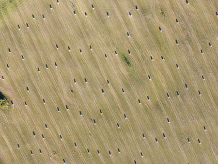 rolls of hay on the field aerial photoの写真素材