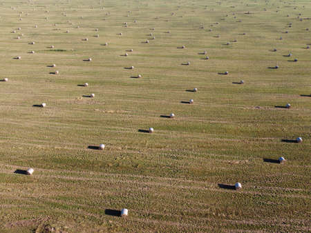 rolls of hay on the field aerial photoの写真素材
