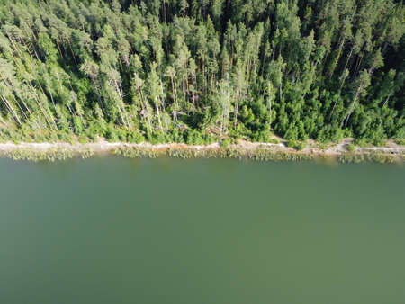 woodland on the shore of a reservoir on a summer day aerial photoの写真素材
