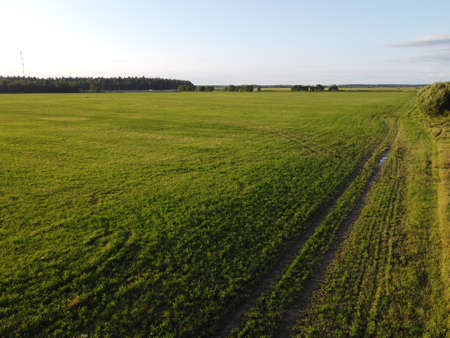 old country road in summer aerial photographyの写真素材