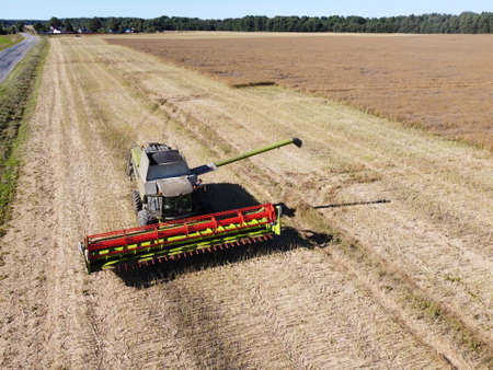 large harvester on a rapeseed field on a bright sunny day aerial photoの写真素材