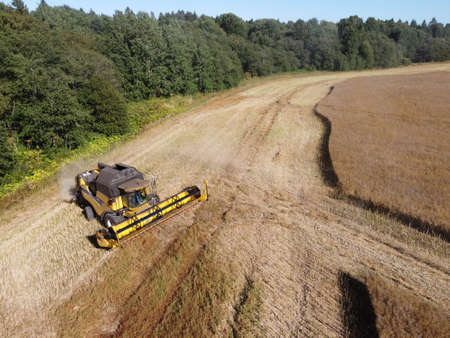 large harvester on a rapeseed field on a bright sunny day aerial photo