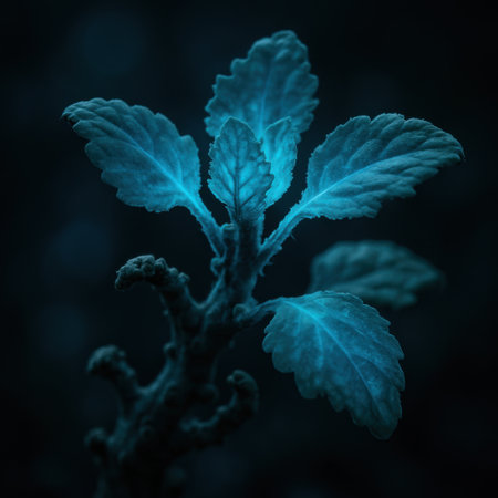 A closeup of blue glowing leaves emerging from a plant stem in a dark environment.の写真素材