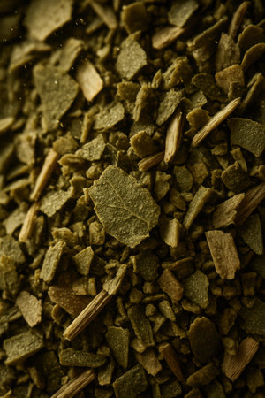 Macro close up of yerba mate leaves. Natural textures and earthy green tones.の素材
