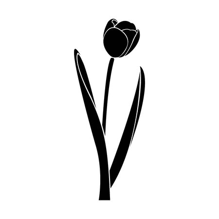 Tulip illustration on white backgroundのイラスト素材