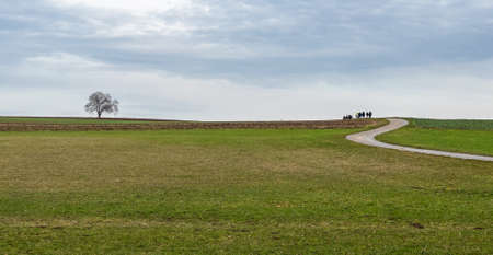 A minimalist image of a group of people walking down a road in the distance and a lone tree on the leftの写真素材