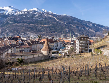 Winter view of the vineyard and the old town with the medieval buildings of the Swiss town of Churのeditorial素材