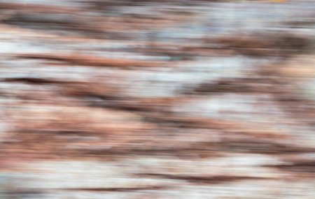 Abstract landscape photo - intentional camera movement (ICM) technique to create a dreamy, moody artistic background photo of blurry subjects - lines of tree trunk in autumnの写真素材