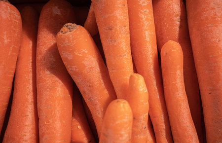 Close up of carrots in a pile at the vegetable market