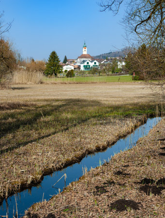 Marsh landscape by Hallwil lake in Seengen, Switzerlandの写真素材