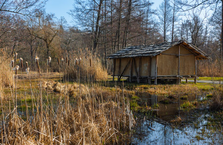 A wooden cabin on the shore of a Lake Hallwil in Seengen, Switzerlandの写真素材