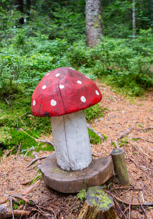 Wooden muschroom in the magic forest - the enchanted high moor landscape of the Taubenmoos in...