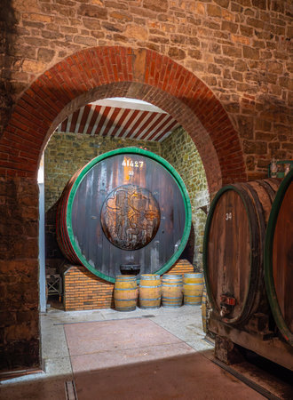 Koper, Slovenia - November 8, 2023: Bigest wine barrel in wine cellar of Vinakoper, an independent company with approximately 430 ha of its own vineyards in the Koper regionのeditorial素材