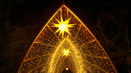 Mainau, Germany - December 27, 2023: A Christmas garden is a Christmas event with beautiful light creations and illuminations on the island of Mainau on Lake Constanceのeditorial素材