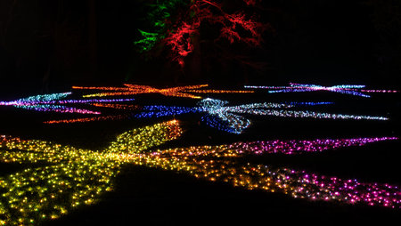 Mainau, Germany - December 27, 2023: A Christmas garden is a Christmas event with beautiful light creations and illuminations on the island of Mainau on Lake Constanceのeditorial素材