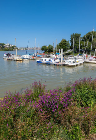 Nantes, France - August 5, 2025: A scenic view of a marina with several boats docked, surrounded by lush greenery and vibrant purple flowers in the foreground, under a clear blue skyの写真素材