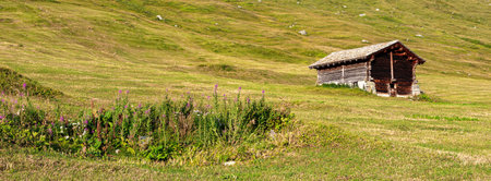 A rustic wooden mountain cabin in Juf, Graubunden, Switzerland, grassy fieldの写真素材