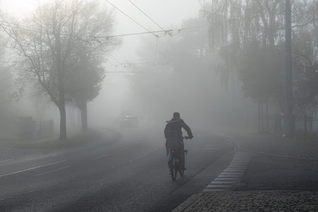 A cyclist riding on a foggy road in Zurich, trees in the background, soft light, atmospheric moodの写真素材
