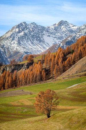 A scenic swiss landscape of Graubunden featuring snow-capped mountains, autumn trees with orange...