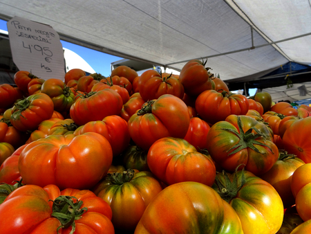 close-up of tomatoes at a market stall with price tagの写真素材