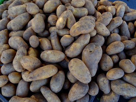 Detail of dirty potatoes at a market stallの写真素材
