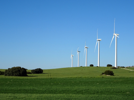 field of windmills in a natural environment on a sunny dayの写真素材