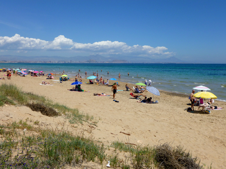 beach day in summer with a view of the city in the backgroundのeditorial素材
