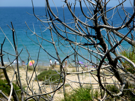 idyllic beach surrounded by natureの写真素材