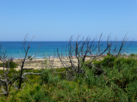 idyllic beach surrounded by natureの写真素材