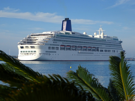 view of a cruise ship in the harbor with palm trees in the foregroundの写真素材