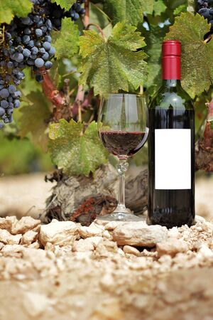 Still life of a red wine bottle, glass of wine on wooden plank with vineyards in the background. Vineyards of Spain.の写真素材