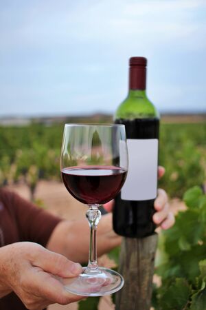 Woman's hand holding a glass and bottle of wine among the vineyards. wine growing and productionの写真素材
