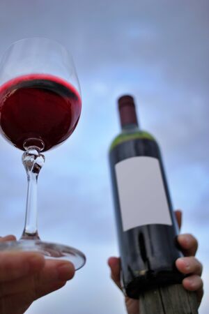 Hands holding wine glass and bottle of wine with cloudy sky background. Different view.の写真素材