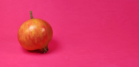 Ripe pomegranate fruit of the mollar variety on a plain red backgroundの写真素材