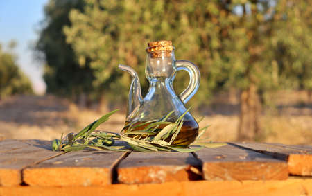 close-up of an oil jug with slice of bread and olive oil tree branch. Background of a field of olive trees before harvest. Cultivation of organic olives.の写真素材