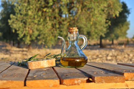 close-up of an oil jug with slice of bread and olive oil tree branch. Background of a field of olive trees before harvest. Cultivation of organic olives.の写真素材