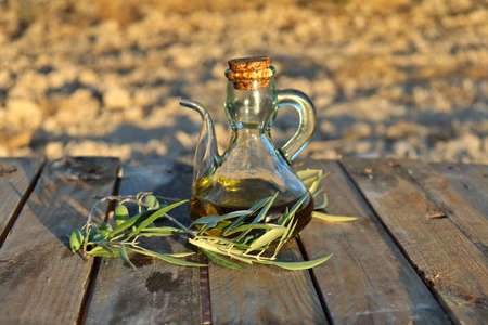 close-up of an oil jug with slice of bread and olive oil tree branch. Background of a field of olive trees before harvest. Cultivation of organic olives.の写真素材