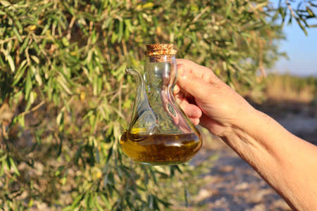 Farmer hand holding jug of high quality extra virgin oil with olive field background at sunset. Production of a variety of olive oil Spain.の写真素材