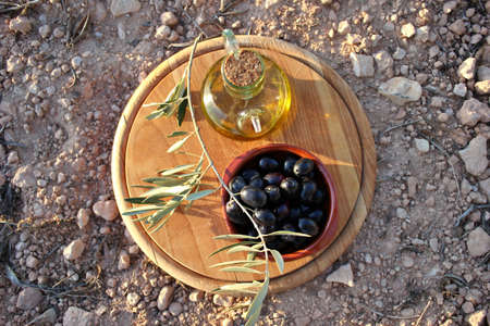 still life with bowl of olives and jug of olive oil laying on the ground of olive field with sunlight at sunsetの写真素材